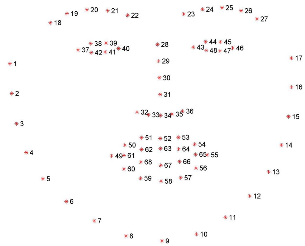Facial coding - geometric markup