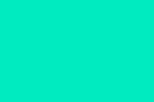 Swatch #27EABF