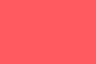 Swatch #FB5C63