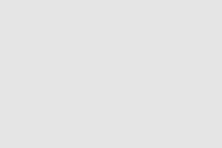Swatch #e5e5e5