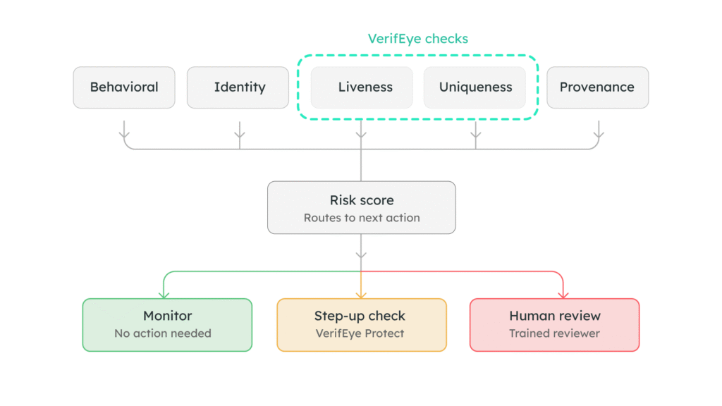 Flow diagram showing behavioral, identity, liveness, uniqueness, and provenance signals feeding a risk score that routes to monitoring, a VerifEye Protect step-up check, or human review